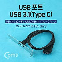 Coms USB 포트/USB 3.1(Type C), 30cm 브라켓 연결용, 판넬형 케이블 젠더