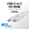Coms USB 3.1 Type C PD 고속충전 케이블 2M 5A C타입 to C타입 White